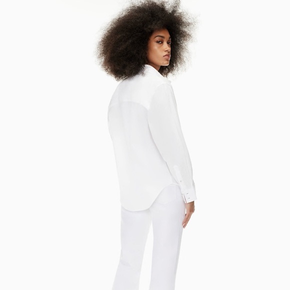 Aritzia Denim Forum The Jane Longsleeve Shirt - Picture 5 of 7